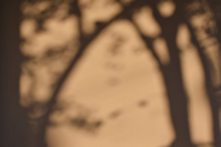 tree shadow on the brown concrete wall background