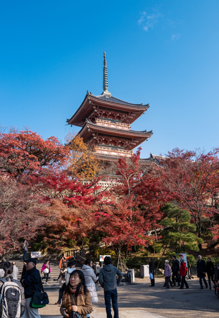 Kyoto, Japan - December 1, 2013: Kiyomizudera temple is one of the most famous temple in Japan .In 1994, the temple was added to the list of UNESCO world heritage sites.