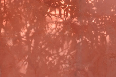 Faded red wall with shadow of leaves on it