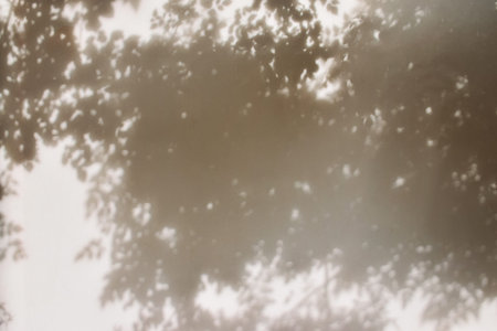 Shadow of leaves and tree on faded painted wall