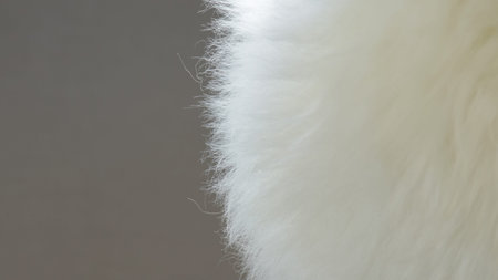 close-up of round shape fur in room