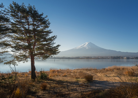 Beautiful Mount Fuji view from around lake Kawaguchi in the morning timeの写真素材