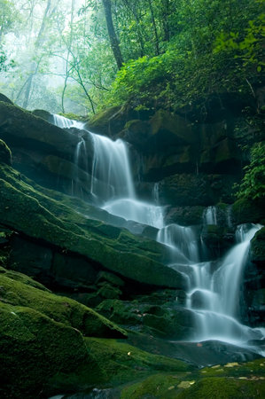 Waterfall on the mountain in thai national park