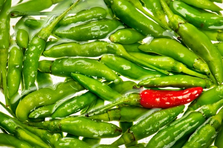 Many chili are floating in the  bowl with water.の写真素材