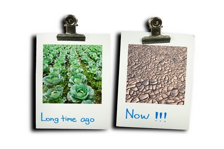 Compare photos of  good environment to dry landの写真素材