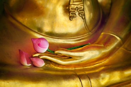 Lotus in hand image of buddhaの写真素材