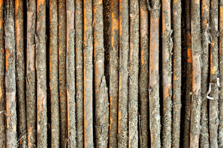 bamboo wall have cement stain 