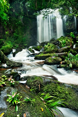 waterfall in thai national park. In the deep forest on mountain.の写真素材