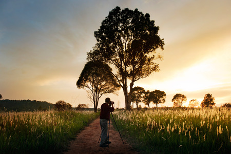 country rural road to forestの写真素材