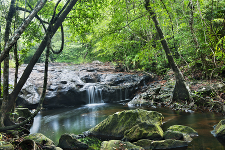 waterfall in Pang Sida national park  , thailandの写真素材