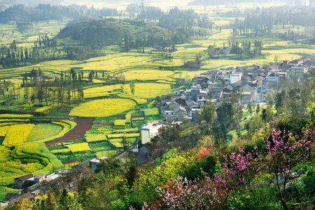 Rural village in mountain