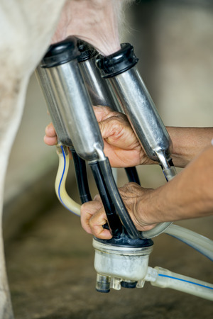 Pumping milk by machineの写真素材
