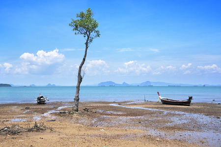 Boat at neap timeの写真素材