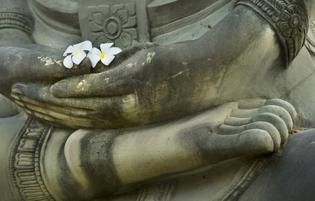 flower in buddha handの写真素材