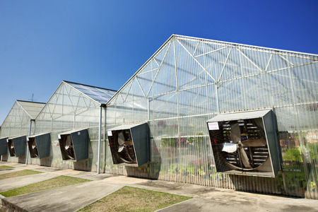 Greenhouse under blue skyのeditorial素材