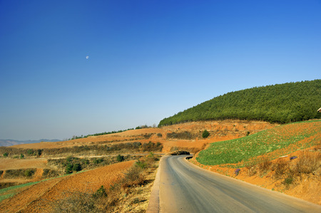 rural roadの写真素材