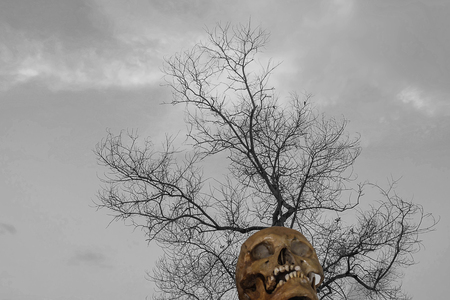Skulls  people and dead tree with   white and black  sky  background.の写真素材