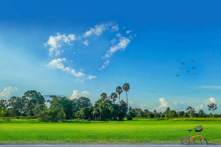The countryside, green paddy rice field with beautiful sky cloud in upcountry Thailand.の写真素材
