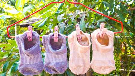 socks on hanger with nature background