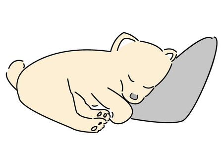 hand draw pomeranian dog sleep at the pillow with white background, cartoon styleのイラスト素材