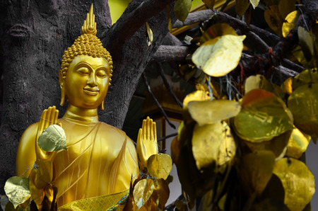 Buddha Statue Under The Bodhi Tree And Gold Colour Of Leafの写真素材