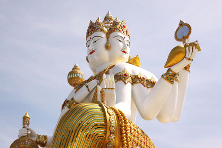 Brahmaの写真素材
