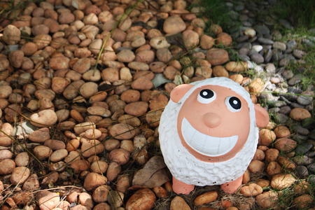 Smiling sheepの写真素材