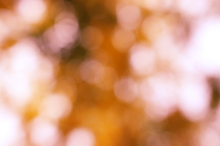 Light orange backgroundの写真素材