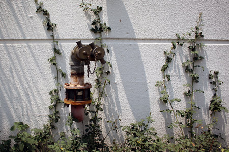 Fire Hydrant in the wall