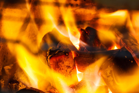 Decaying red coals of a tree in a fire