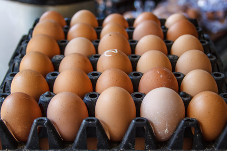 Closeup of many fresh brown eggs in carton tray