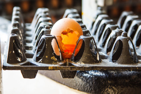Cracked and broken brown egg  on the tray