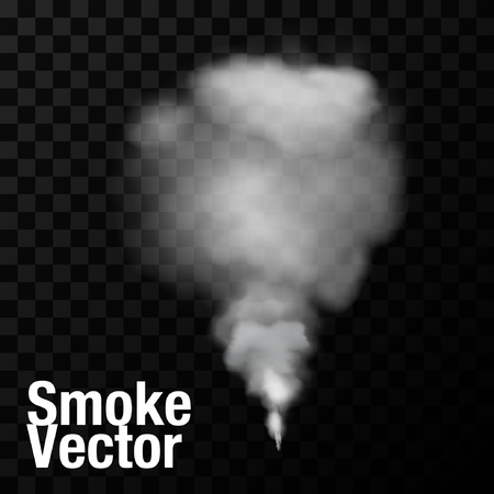 Smoke isolated transparent special effect. Vector illustrationのイラスト素材