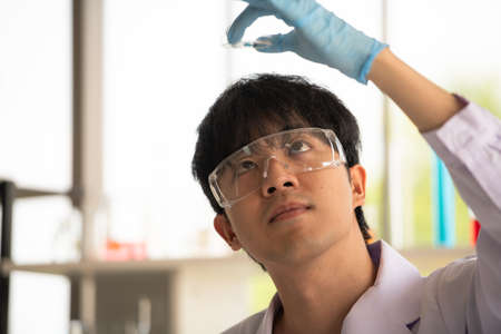 Lab testing and analysis chemical at the laboratoryの写真素材