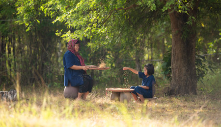 Rural life of Thai farmers More than 70% have to live on farming. Sifting rice with baskets that farmers are doing as shown in the picture is a method of separating rice from the husk.の写真素材