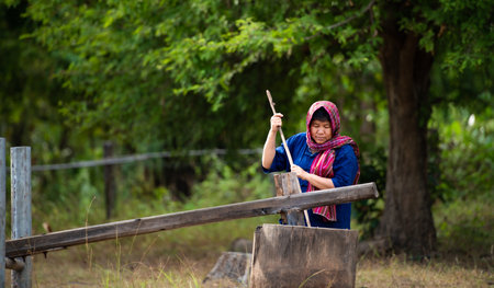 More than 70% of Thai farmers live in rural areas. Pounding rice with a wooden mortar, as shown in the picture, is a way of separating the rice grains from the husks.の写真素材