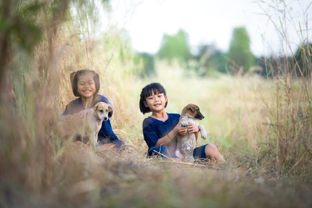 In rural Thailand, little girls play together joyfully laugh together and play with the pet dogsの写真素材