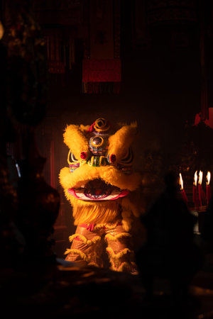 Golden lion, Two people dance the Chinese auspicious animals to make them come to life.の写真素材
