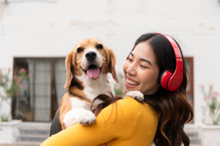 Young Asian woman holding up beagle dog after running around the house with the owner until exhausted and tiredの写真素材