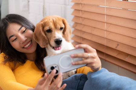 Beagle dog joining the owner's selfie on the sofa in the living room of the houseの写真素材