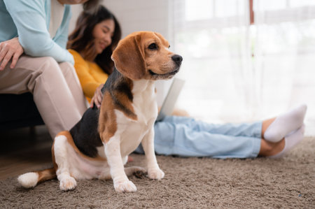 Family vacation, mother, daughter, and beagle puppy relaxing on weekends in the house's leisure roomの写真素材