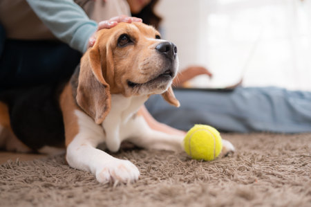 Family vacation, mother, daughter, and beagle puppy relaxing on weekends in the house's leisure roomの写真素材