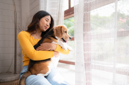 Beagle dog with her owner's girl on a weekend getaway sitting and resting and looking out of the window in the living room of the houseの写真素材