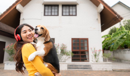Young Asian woman holding up beagle dog after running around the house with the owner until exhausted and tiredの写真素材