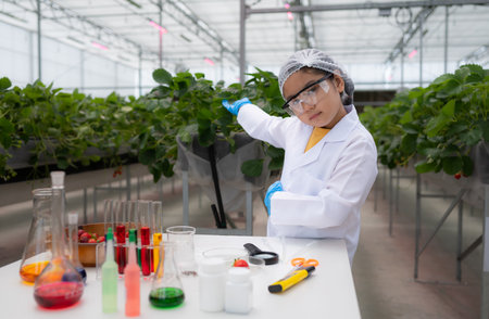 In the closed strawberry garden, a young scientist conducts a strawberry nutrient production experiment with her science class.の写真素材
