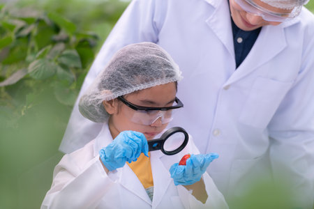 In the closed strawberry garden, a young scientist conducts a strawberry nutrient production experiment with her science class.の写真素材