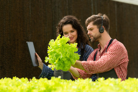 Two small businesspeople organic vegetable garden owner currently introducing customers and showing them his organic vegetable garden via online system.の写真素材