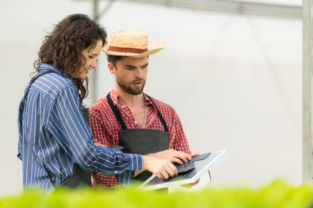 Small businesspeople with the mission of installing a small solar cell panel for the electrical...