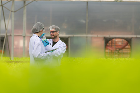 Scientists are conducting research and development on the cultivation of organic vegetables in a closed farm.の写真素材