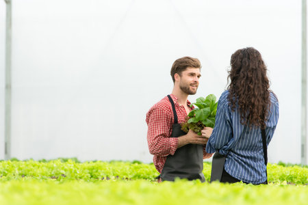 Both small business owners have organic vegetable gardens, They picking fresh veggies to deliver to consumers.の写真素材